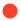 embedded-image-gdgdqjkn.png